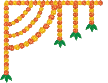 image-top-left